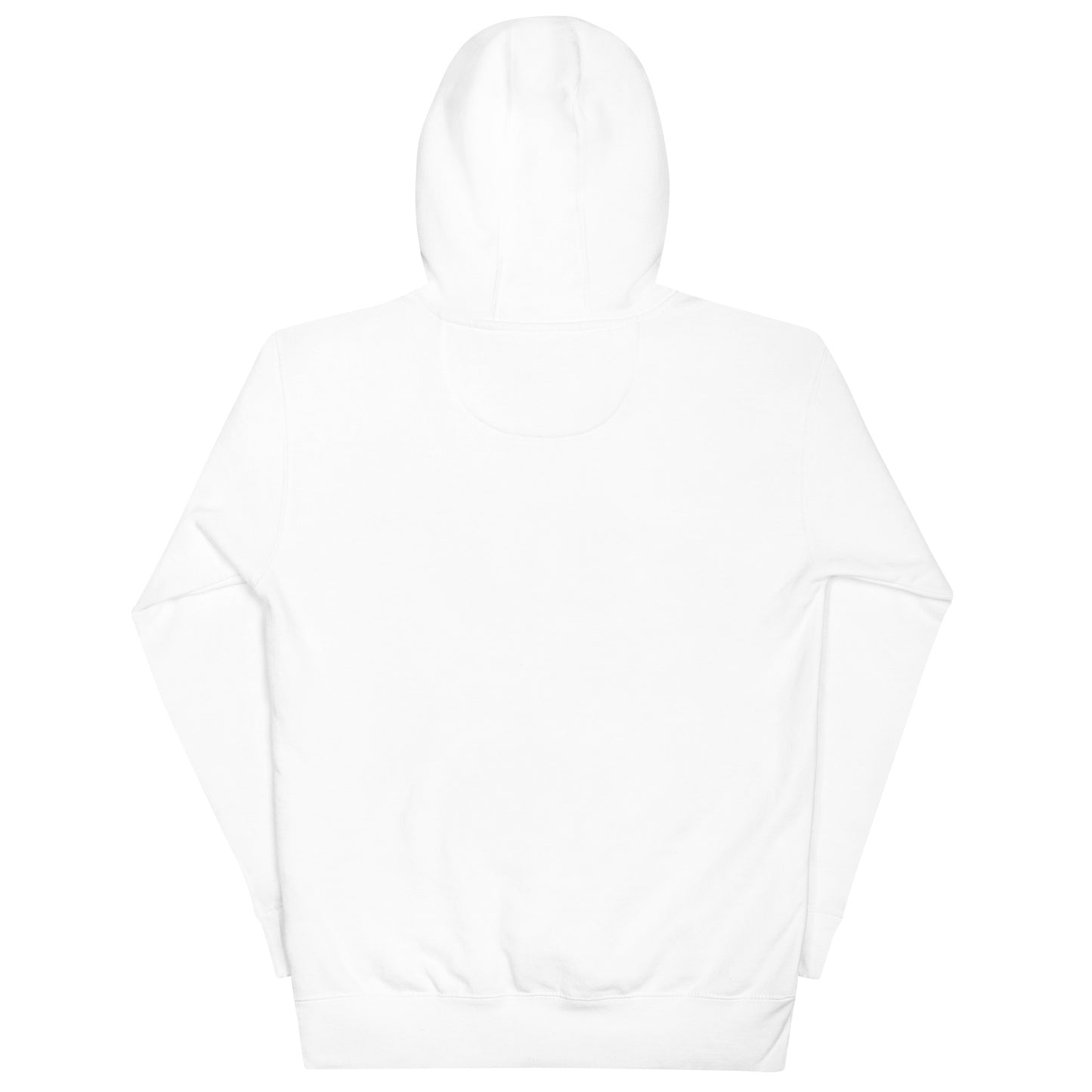 LS Unisex Embroidered Airplane Hoodie