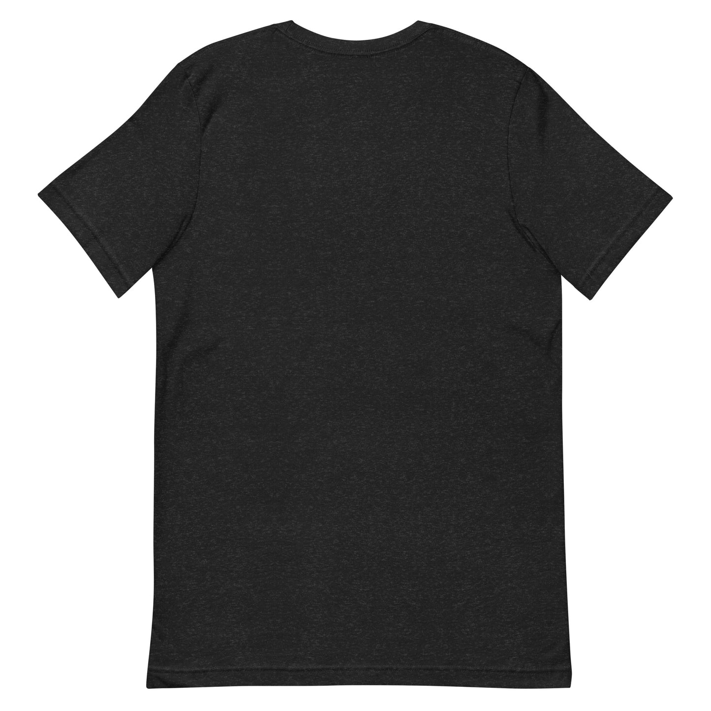 LS Unisex Airplane Tee